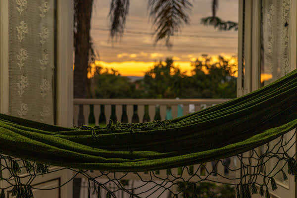 Vista do pôr do sol da varanda através da rede e das palmeiras