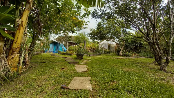 Jardim exuberante com barraca de camping azul e caminho de pedras